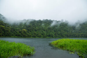 Amazon Rainforest