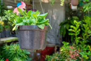 Small Space Gardening Ideas